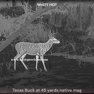 Bering Optics Hogster BOAR Thermal Scope Image Of A Deer In The White Hot Imaging Mode