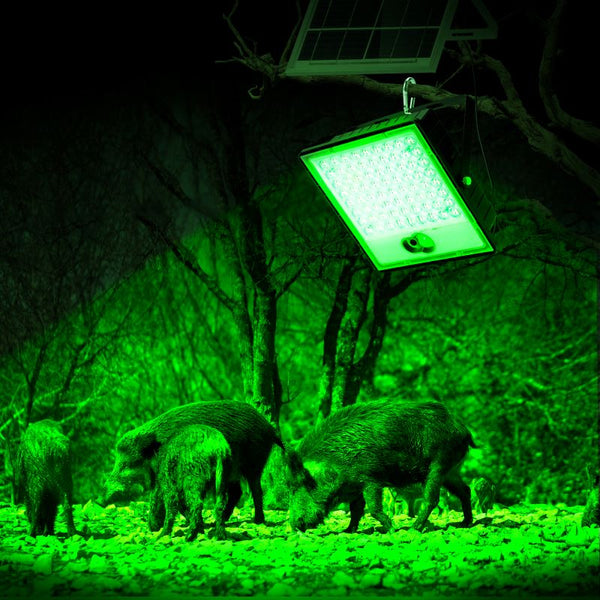 Load image into Gallery viewer, Solar-powered LED green feeder light hanging in a forest with wild boars below.