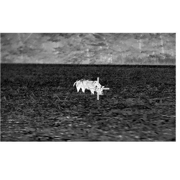 Load image into Gallery viewer, Bering Optics Super Yoter Screenshot With Hog And Reticles During Texas Night Hunting