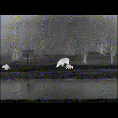 How to Zero Bering Optics Thermal Scopes "In-One-Shot"