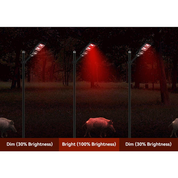 Load image into Gallery viewer, Motion-activated solar feeder light emitting red light in a scene with hogs at might.

