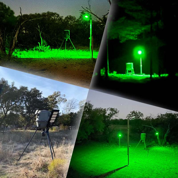 Load image into Gallery viewer, Collage of images showing a green feeder light in various night hunting settings.
