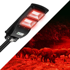 Solar feeder light emitting red light on a dark background with hogs around
