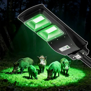 Solar feeder light emitting green light on a dark background with hogs around