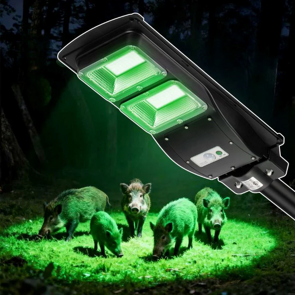 Load image into Gallery viewer, Solar feeder light emitting green light on a dark background with hogs around
