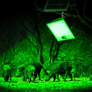 Solar-powered LED green feeder light hanging in a forest with wild boars below.