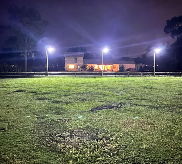 Load image into Gallery viewer, Three bright solar street lights illuminate a large grassy area
