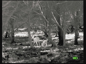 White Hot View of Bering Optics Prodigy Thermal Spotter for Night Hunting